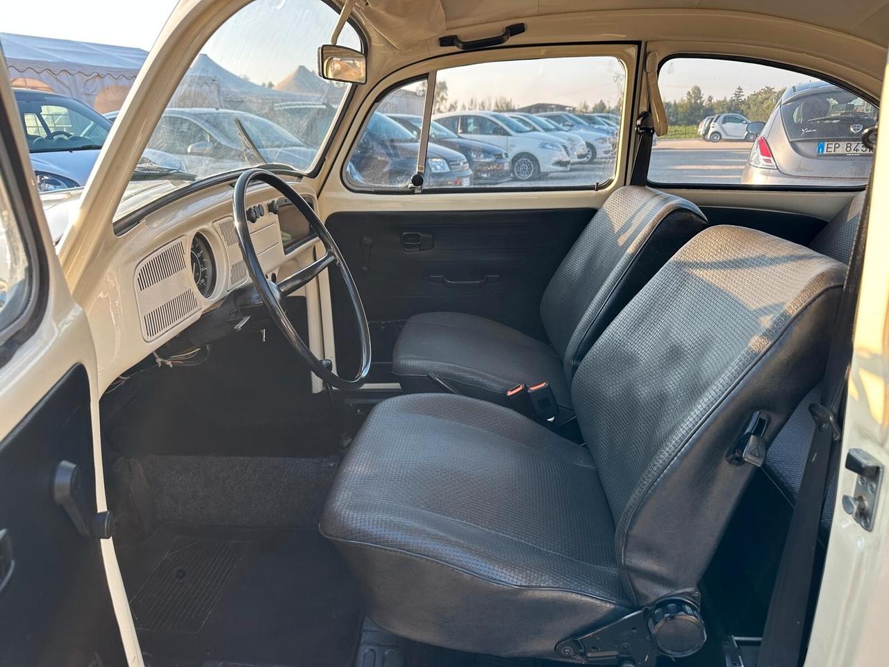 Volkswagen Beetle Maggiolone Vetro Piatto