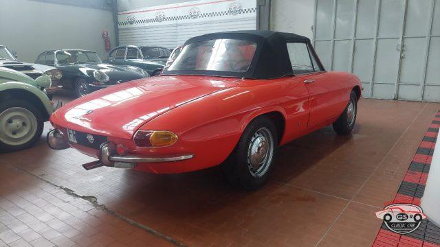 ALFA ROMEO Spider Duetto osso di seppia 1.3