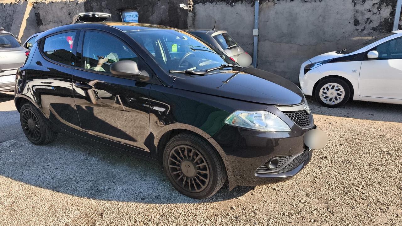Lancia Ypsilon 1.2 69 CV 5 porte GPL 2018 USATO