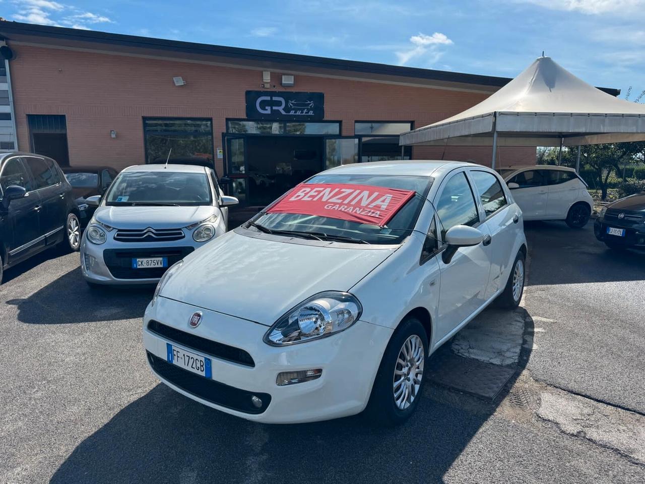 Fiat Punto 1.2 BENZ 5P NEOPATENTATI 2016