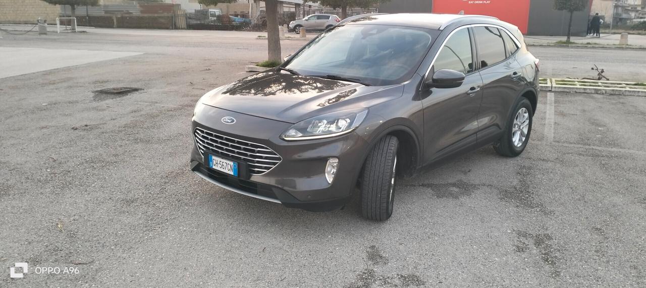 Ford Kuga 1.5 EcoBlue 120 CV aut. 2WD Connect