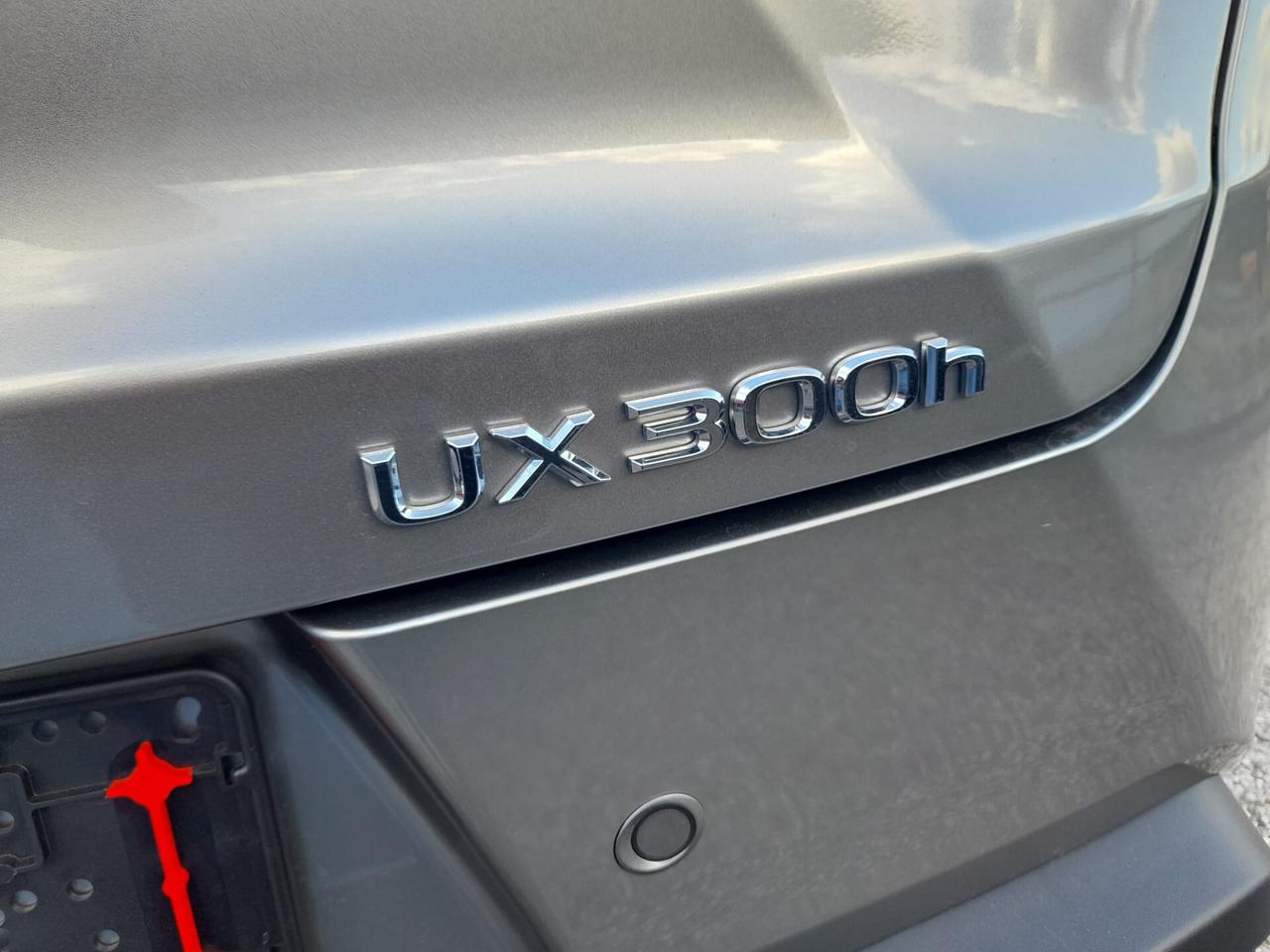 Lexus UX 300h Urban
