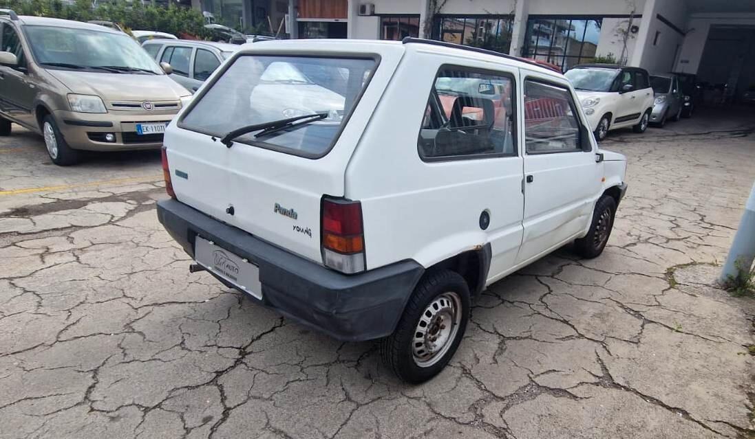 Fiat Panda 900 i.e. cat Young