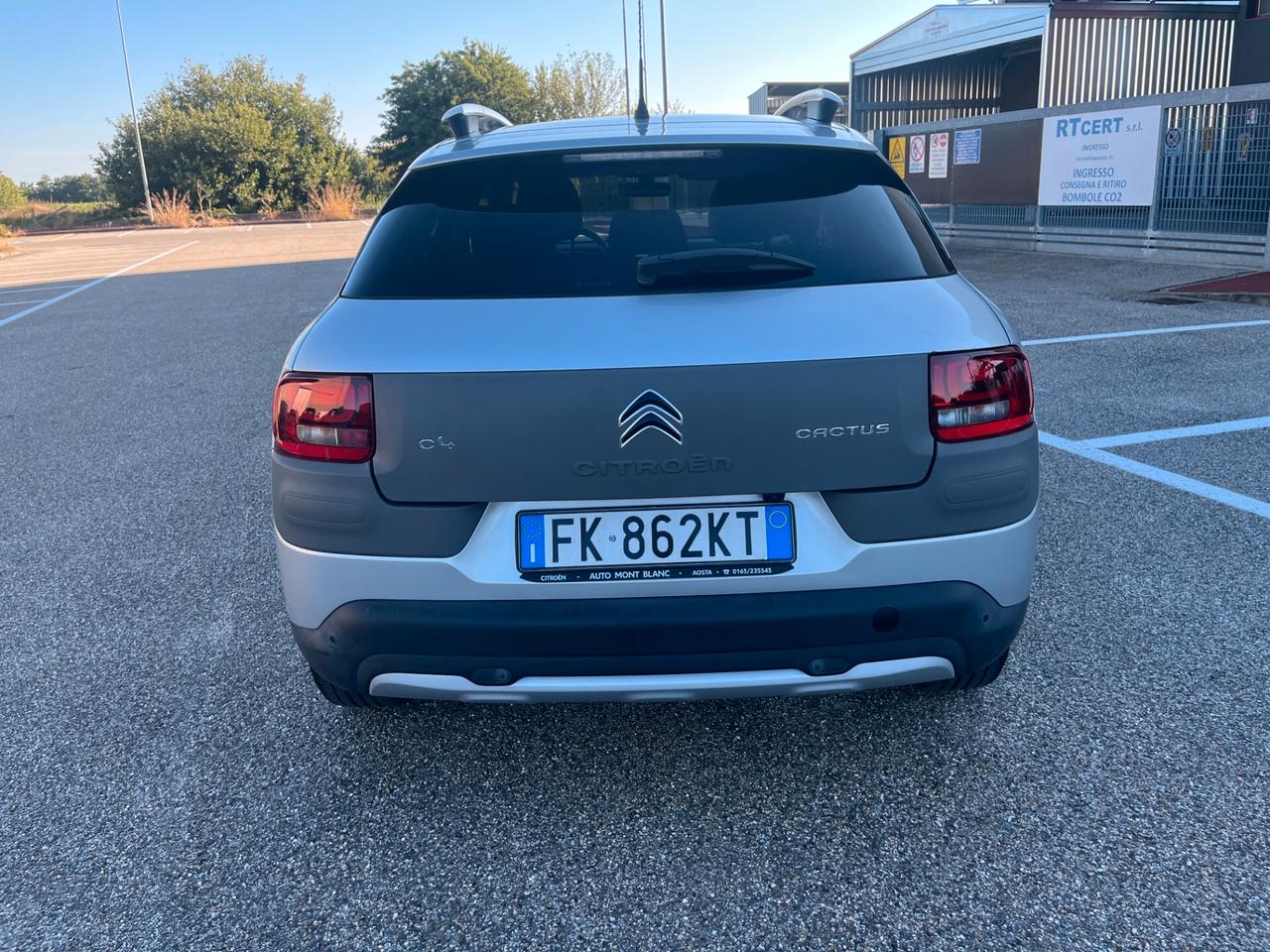 Citroen C4 Cactus BlueHDi 100 Shine Rip Curl