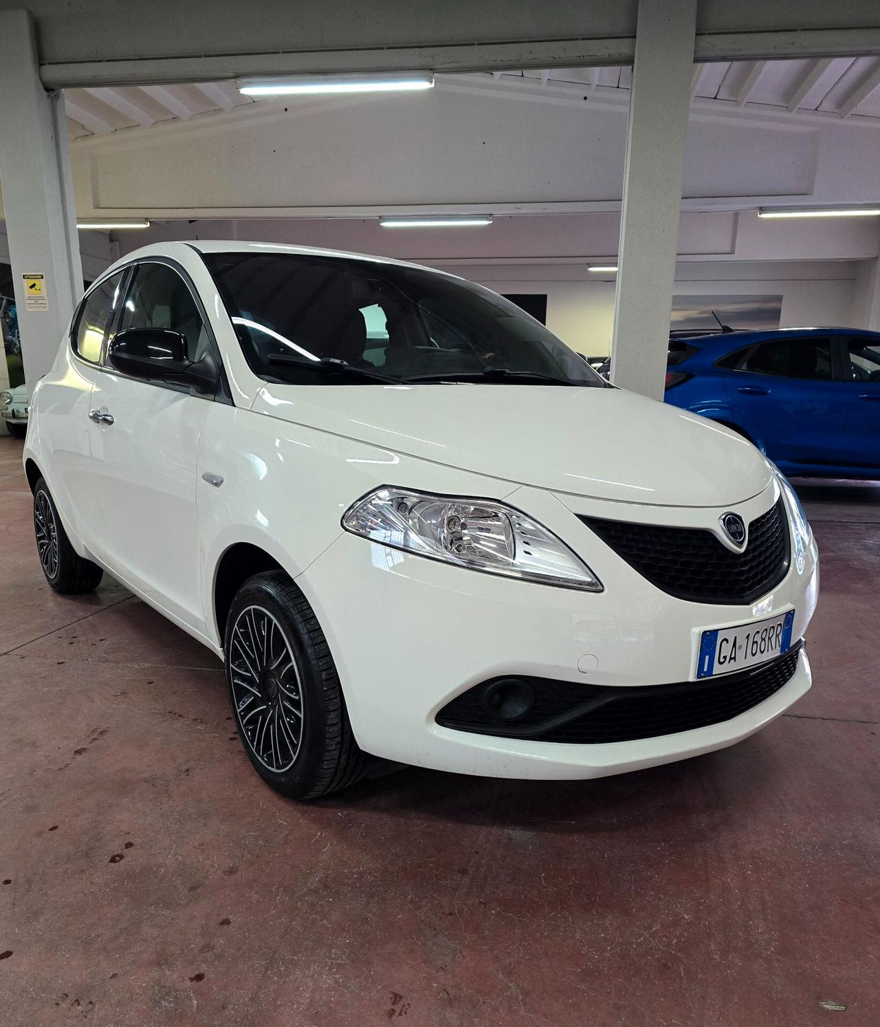 Lancia Ypsilon 1.2 69 CV 5 porte S&S Platinum