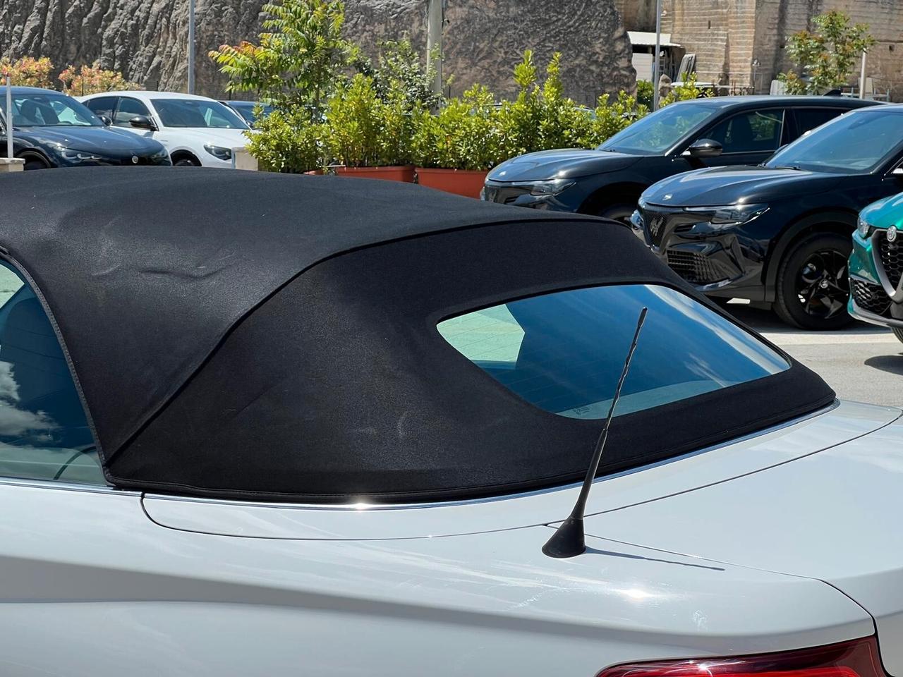 Bmw 218 218i Cabrio Luxury