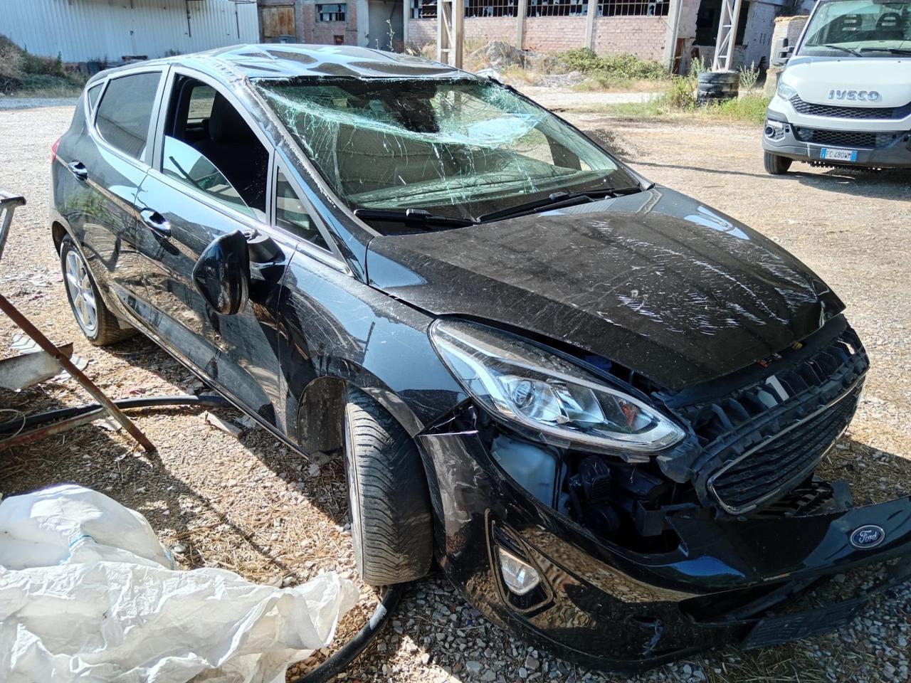 Ford Fiesta 1.0 Ecoboost Hybrid 125 CV 5 porte Titanium