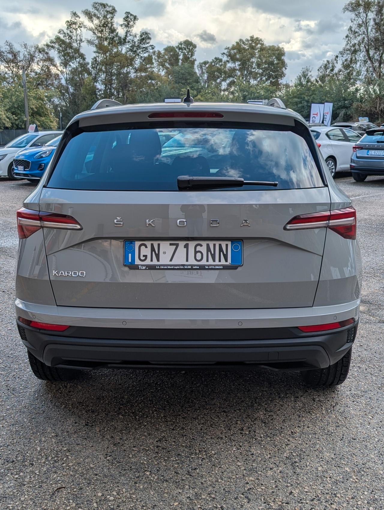 Skoda Karoq 2.0 Tdi 115Cv DSG Executive