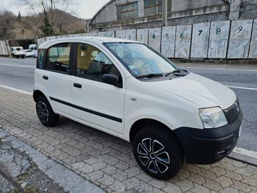 Fiat Panda 1.2 4x4 leggi bene