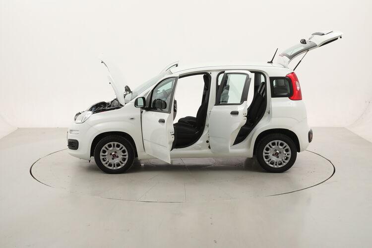 Fiat Panda Easy BR946023 1.2 Benzina 69CV