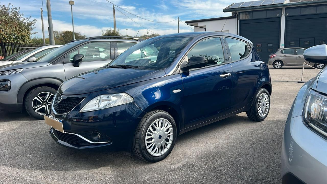 Lancia Ypsilon 1.2 69 CV 5 porte Gold neopatentati