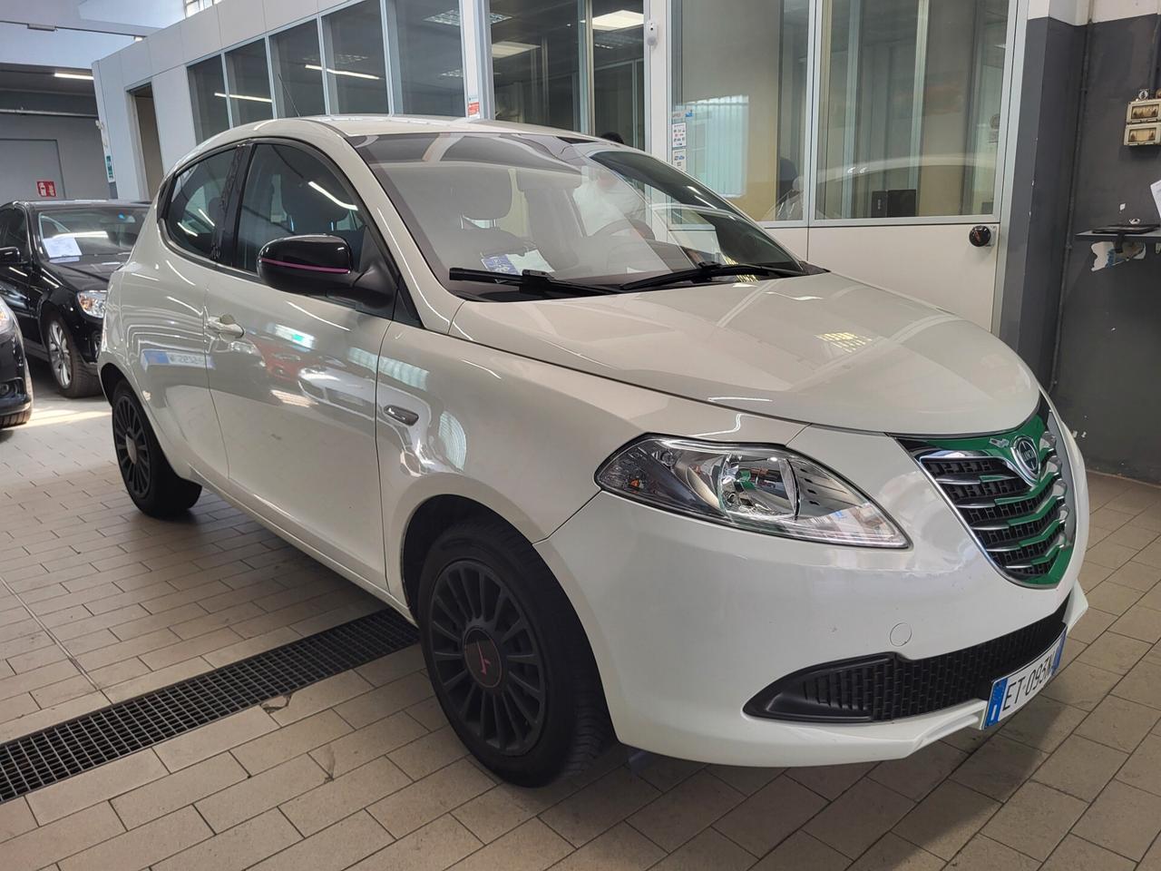 Lancia Ypsilon 1.2 69 CV 5 porte S&S Platinum DISTRIBUZIONE ESEGUITA!! PREZZO REALE!! UNICO PROPRIETARIO!!