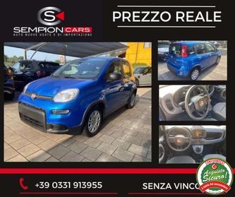 FIAT Panda Pandina 1.0 firefly hybrid s