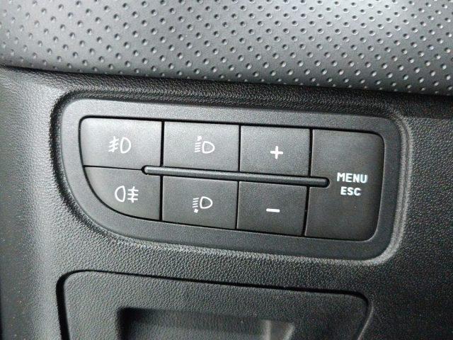 FIAT Punto Evo 1.3 Mjt 75 CV DPF 5 porte S&S Dynamic