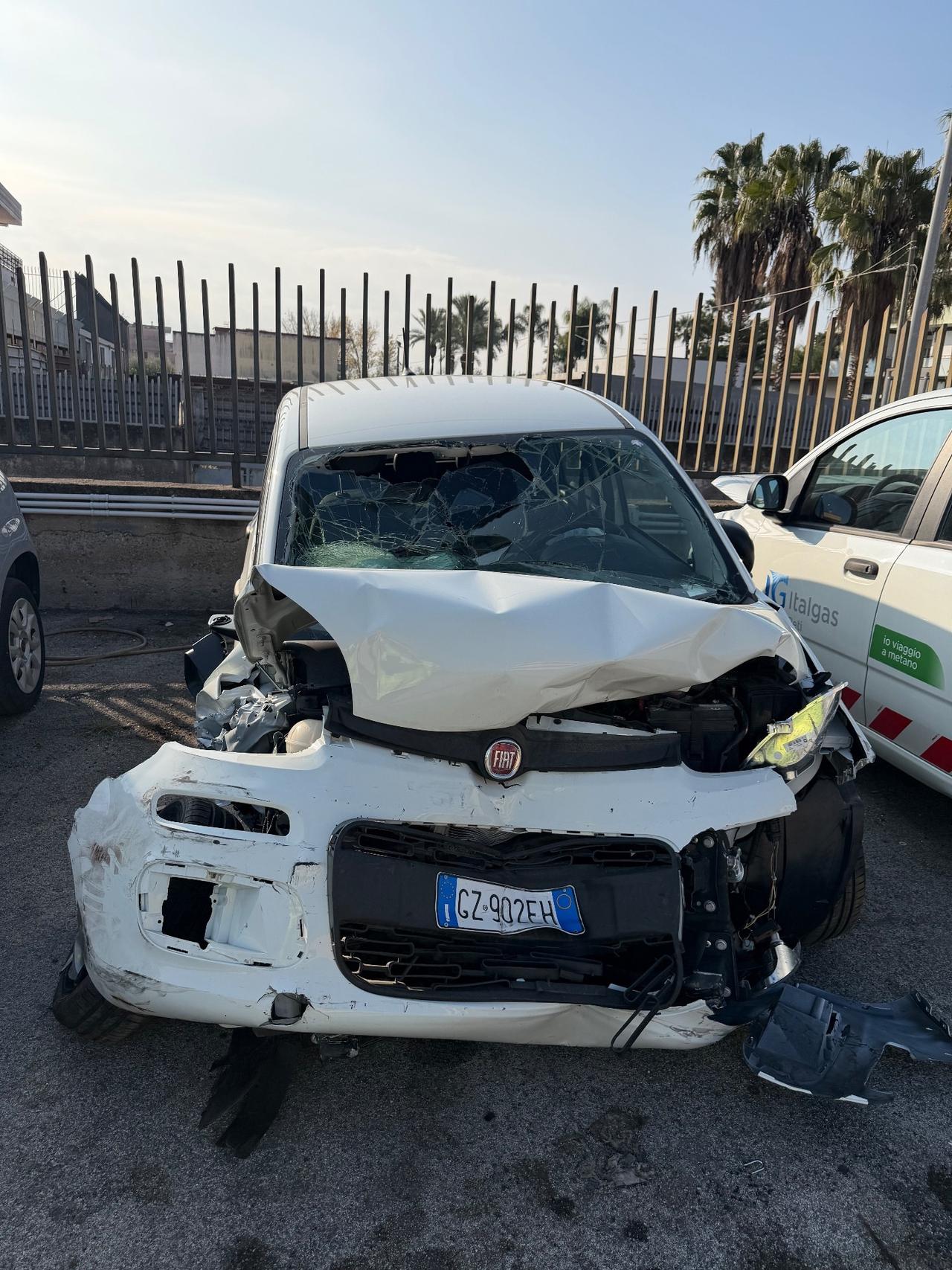 Fiat Panda 1.0 FireFly S&S Hybrid 2025