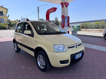 Fiat Panda 1.4 Climbing Natural Power