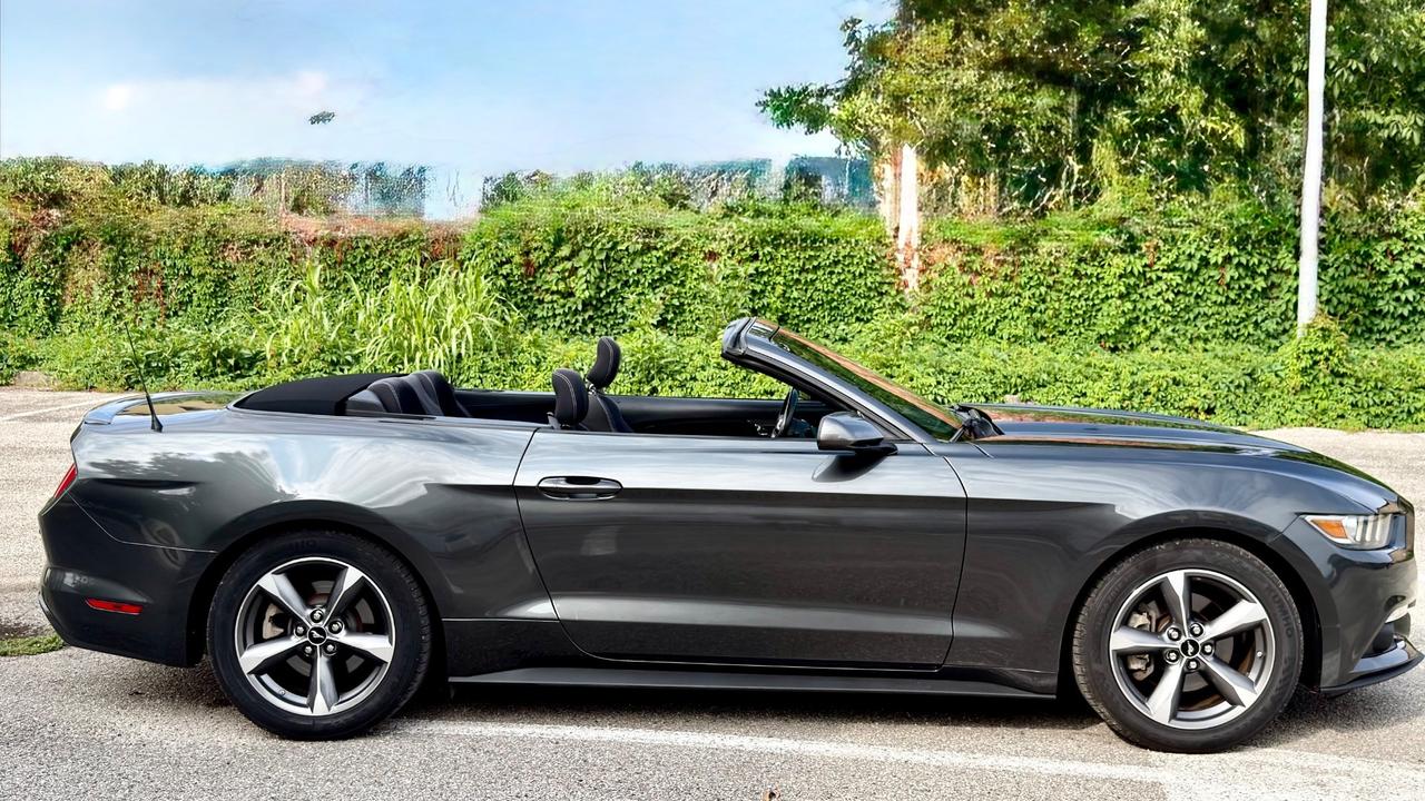 Ford Mustang America