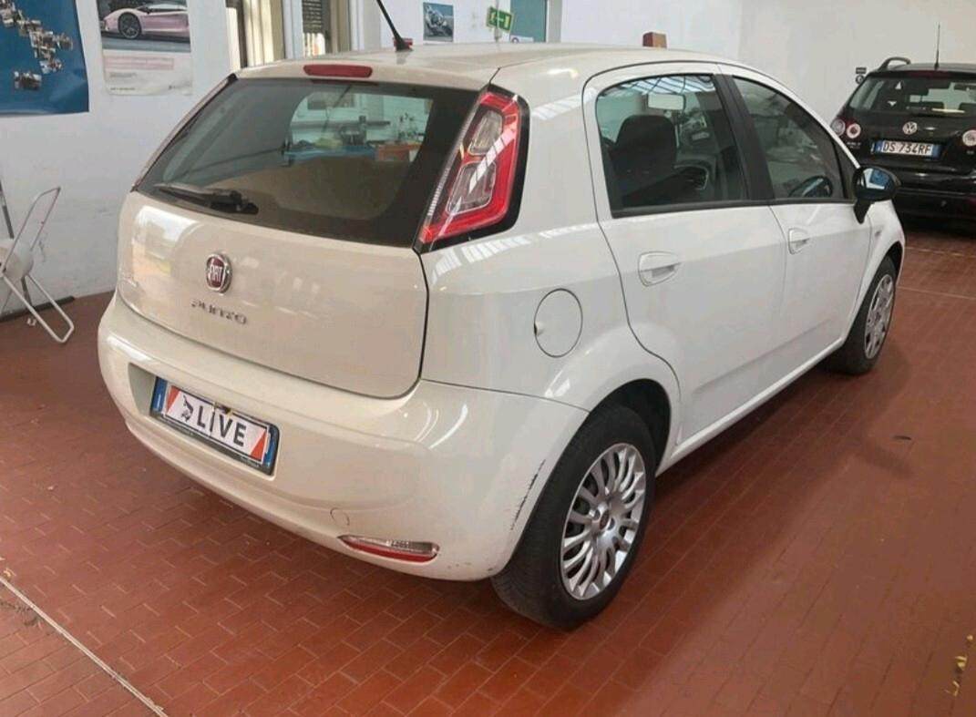 Fiat Punto 1.2 8V 5 porte Street