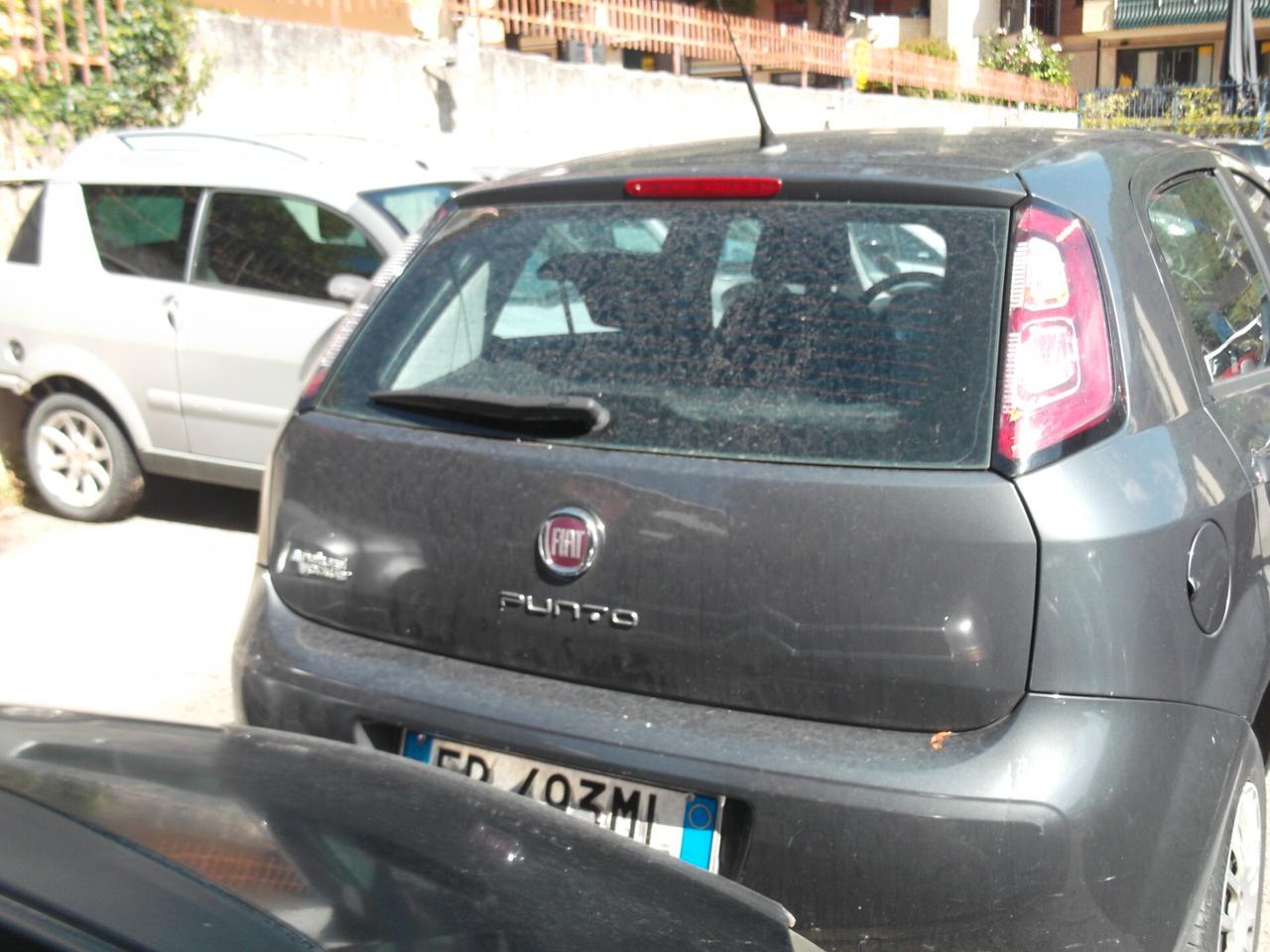 Fiat Punto 1.4 8V 5 porte Natural Power Easy - 01