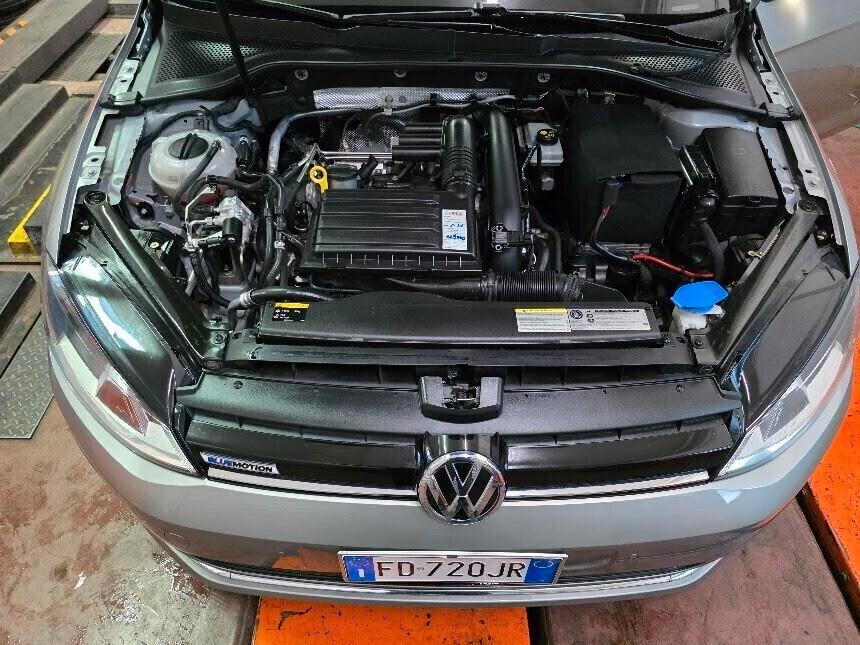 Volkswagen Golf 1.4 TGI DSG 5p. Highline BlueMotion
