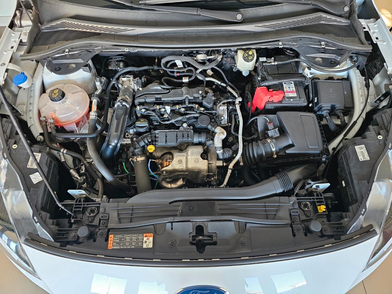 Ford Kuga 1.5 EcoBlue 120 CV aut. 2WD Connect