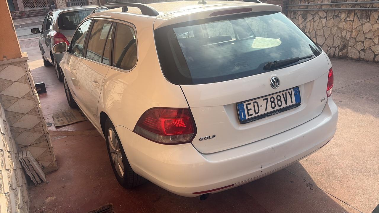 Volkswagen Golf 1.6 TDI DPF 5p. Highline