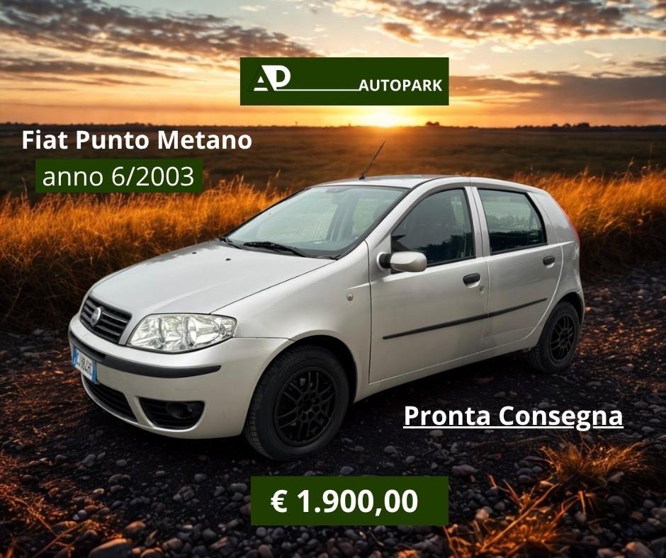 Fiat Punto 1.2 5 porte Dynamic Metano