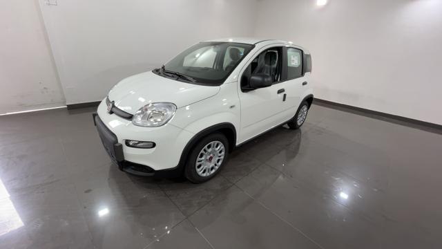 FIAT Panda 1.0 FireFly S&S Hybrid - VARI COLORI!