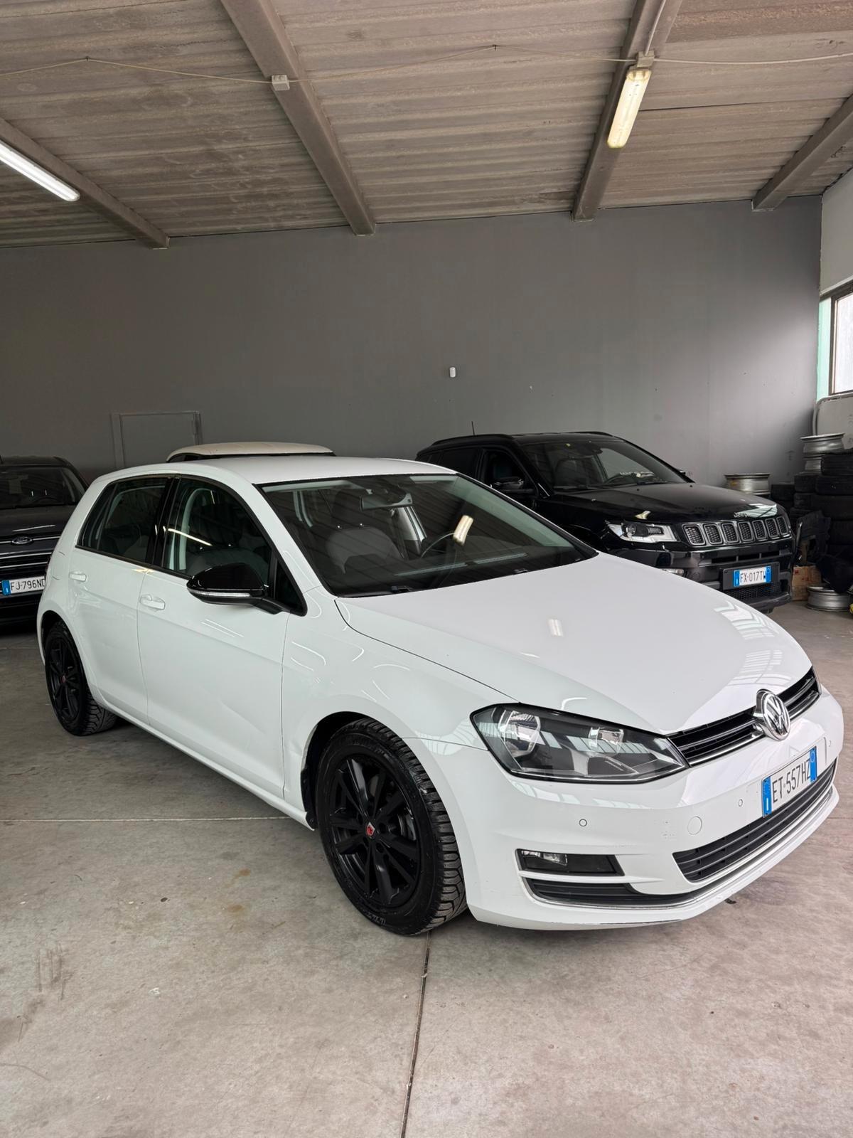 Volkswagen Golf 1.6 TDI 5p. Highline BlueMotion Technology