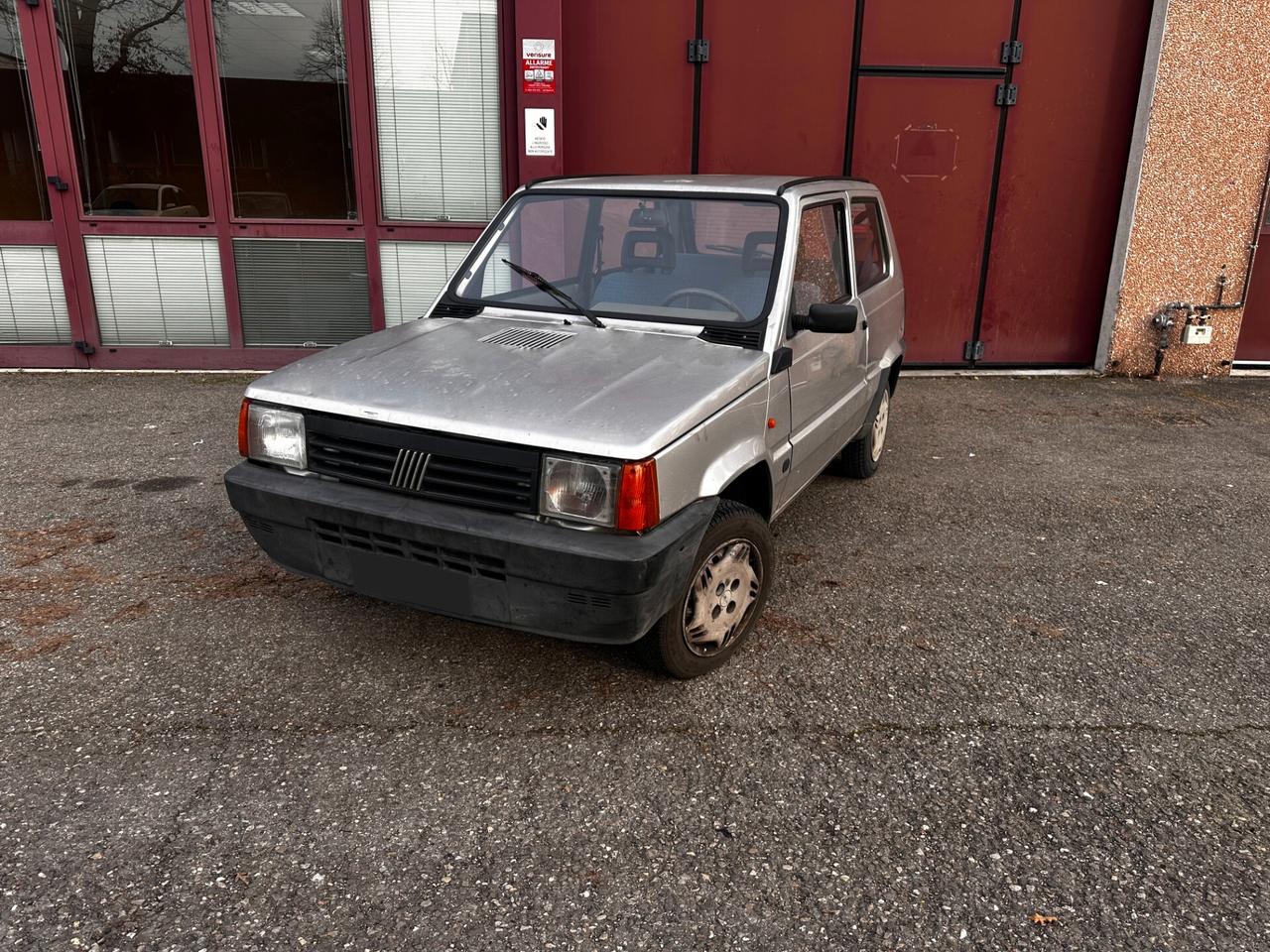 Fiat Panda 1100 i.e. cat Young