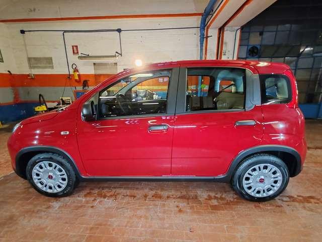 Fiat Panda 1.0 Hybrid 70cv 36 Rate da 177,95