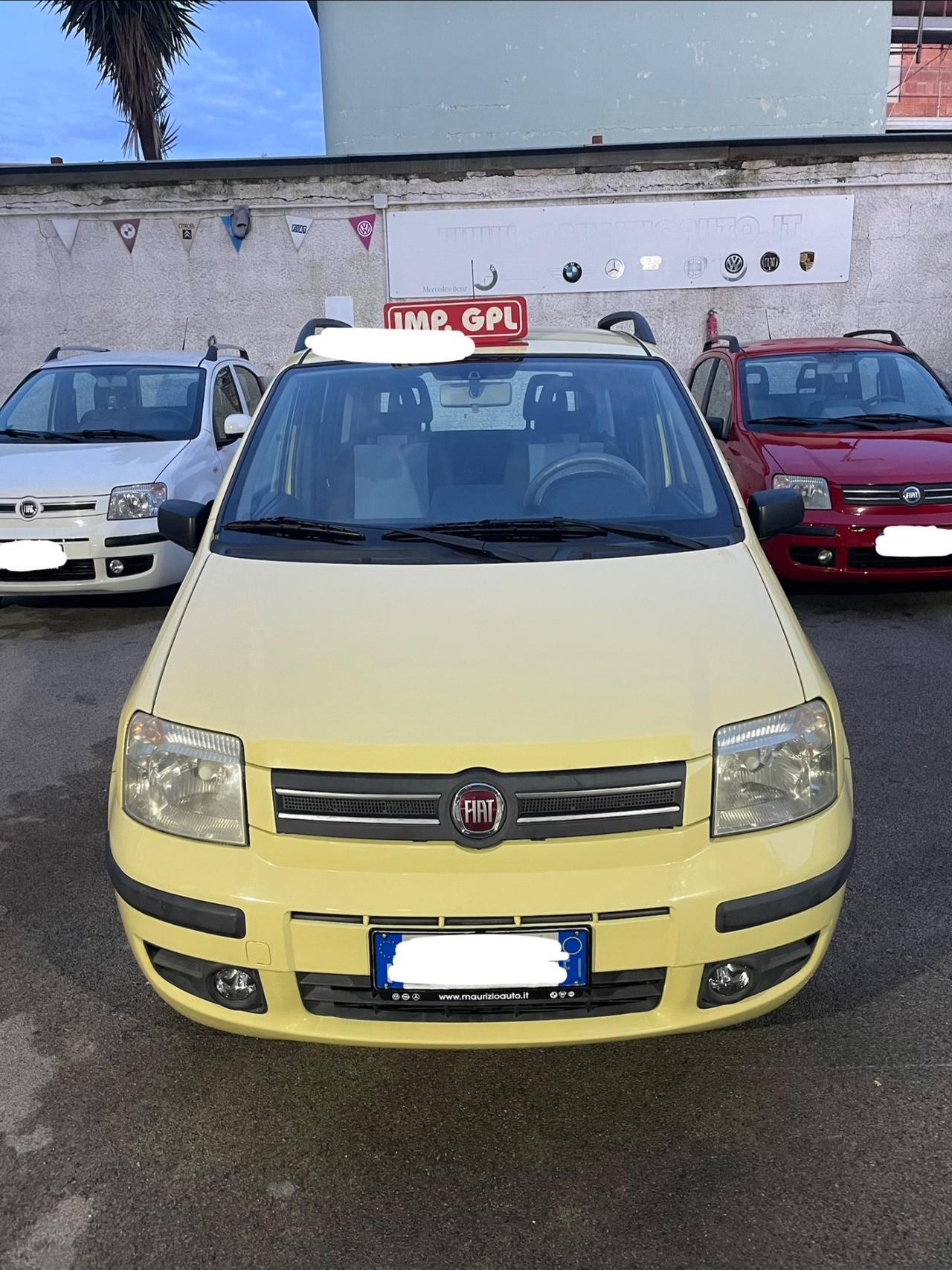 Fiat Panda 1.2 Dynamic Full optional dal nord Italia