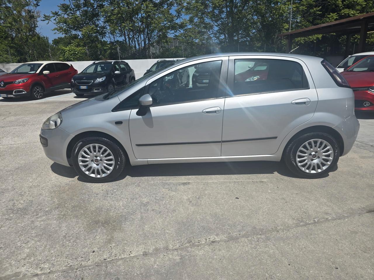 Fiat Punto Evo Punto Evo 1.2 5 porte Active