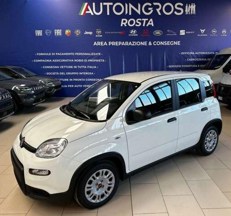 FIAT Panda 1.0 hybrid s&s 70CV NUOVA DA IMMATRICOLARE