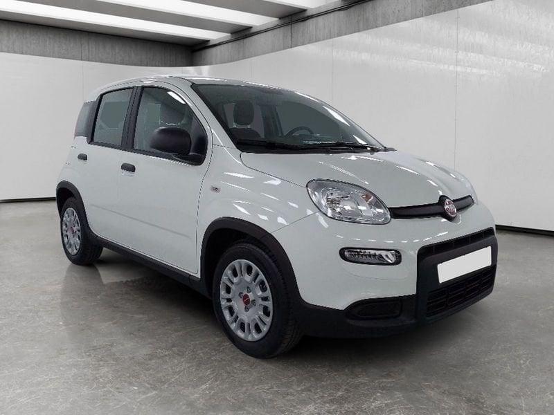 FIAT Panda 1.0 firefly hybrid s&s 70cv 5p.ti