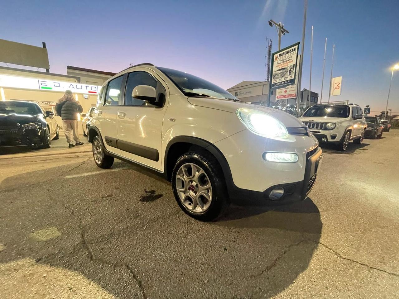 Fiat Panda 1.3 MJT S&S 4x4 Antartica