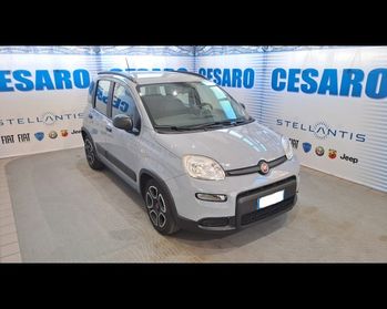 FIAT New Panda 1.0 firefly hybrid 70cv City Life s&s