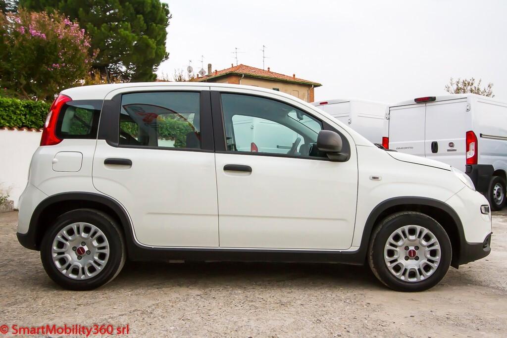 Fiat Panda 1.0 FireFly S&S Hybrid - Ok neopatentati, prezzo vero senza obbligo di finanziamento!