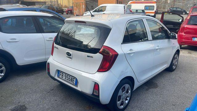 KIA Picanto 1.0 12V EcoGPL 5 porte City Limited