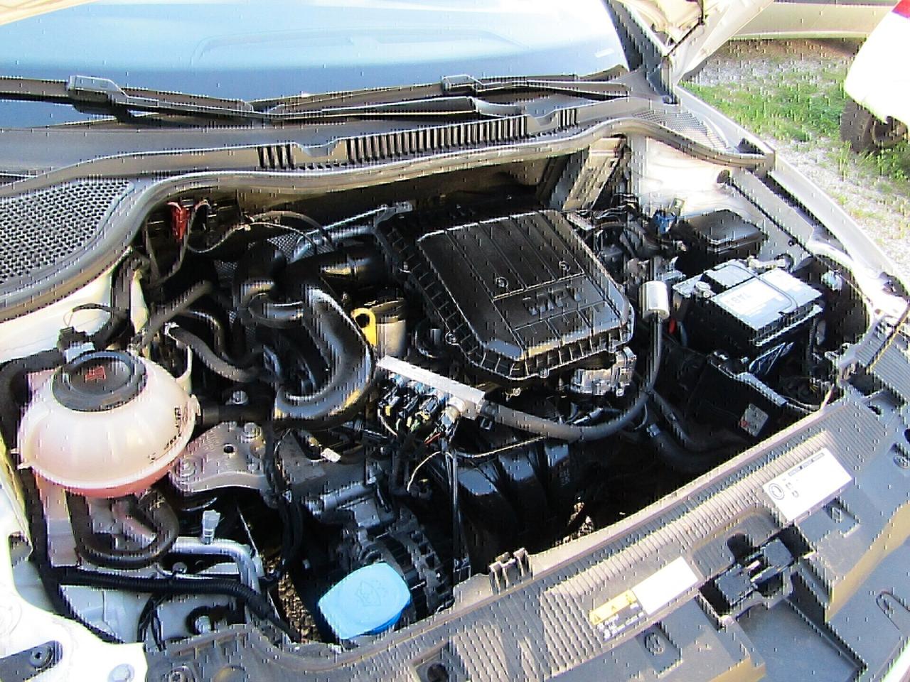 Seat Ibiza 1.0 75 CV 5p. BZ e GPL uniproprietaria