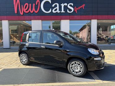 Fiat Pandina 1.0 firefly hybrid Icon s&s 65cv
