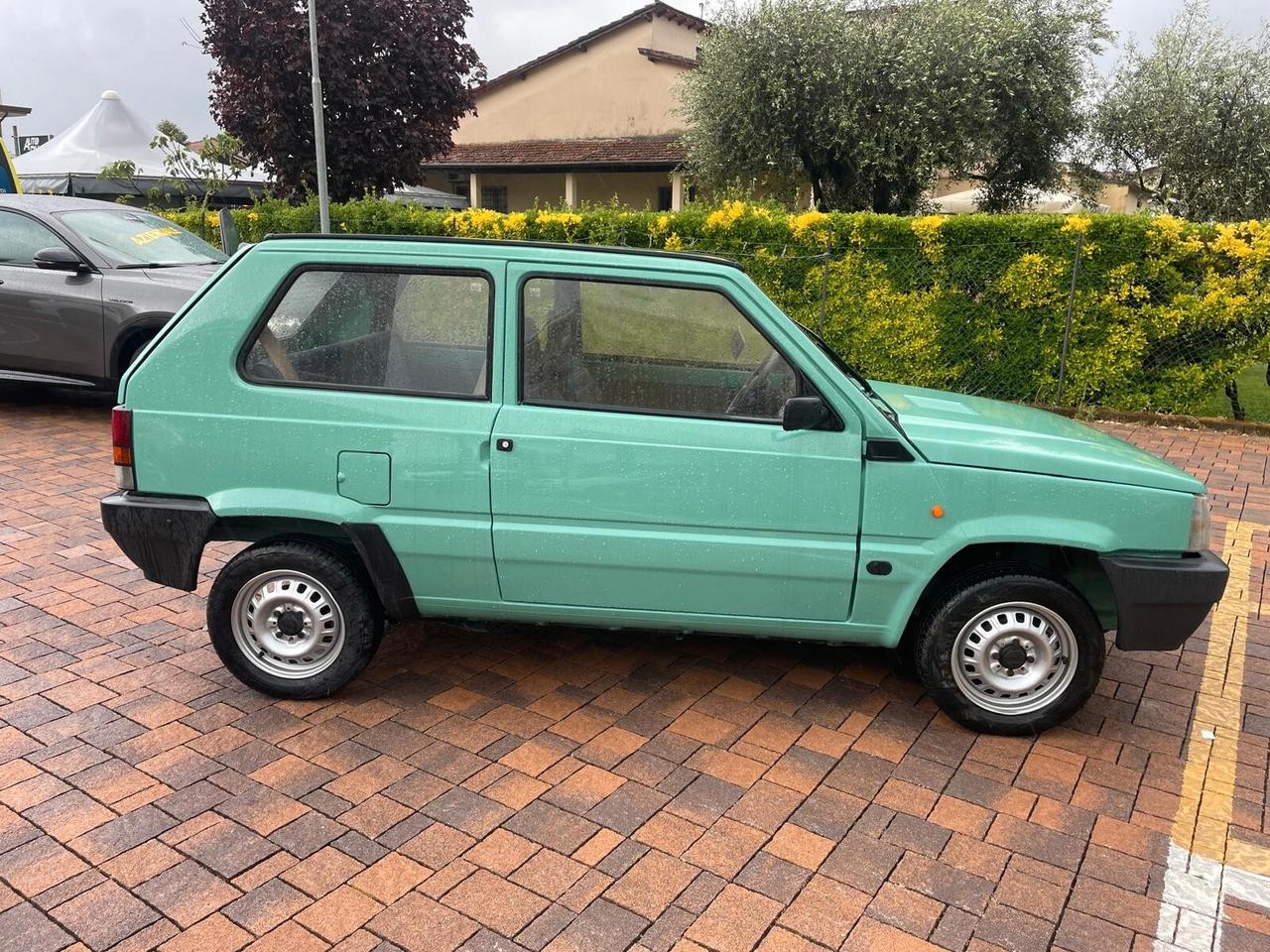 Fiat Panda 1100 i.e. cat Young
