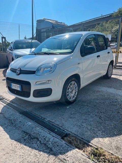 Fiat Panda 1.2 Easy