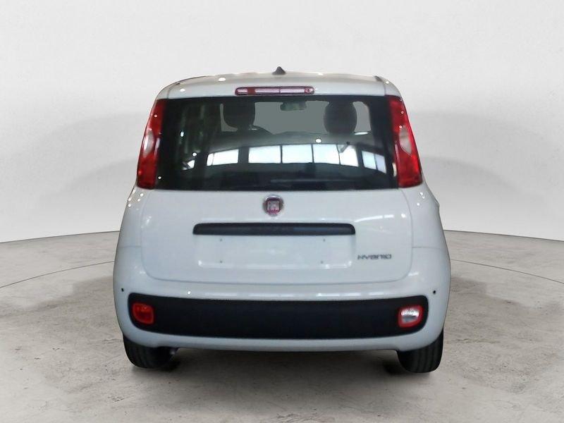FIAT Panda NEW My25 1.0 70cv Hybrid Panda