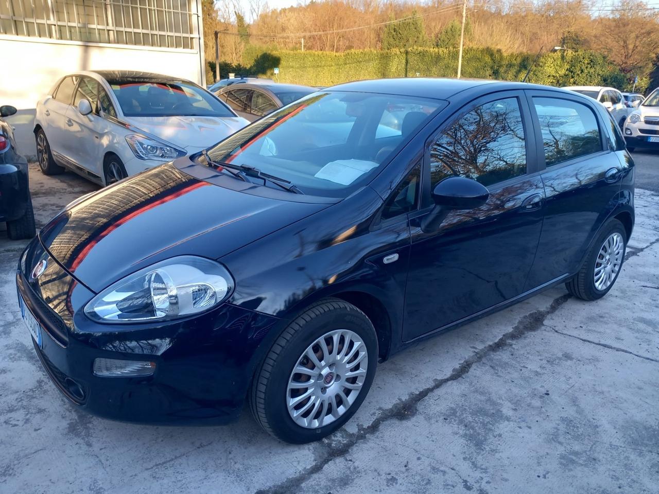 Fiat Punto 1.2 8V 5 porte Street