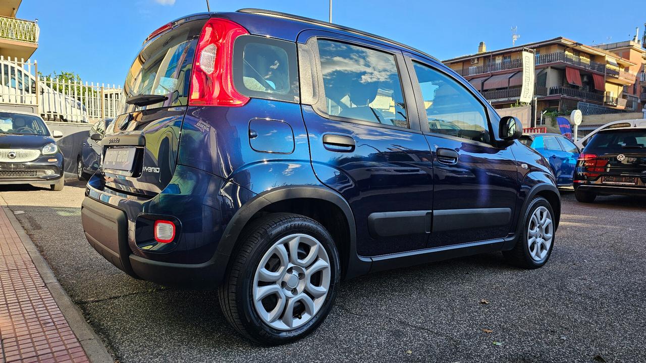 Fiat Panda 1.0 FireFly S&S Hybrid City Cross UNIPRO' NO NOLEGGIO