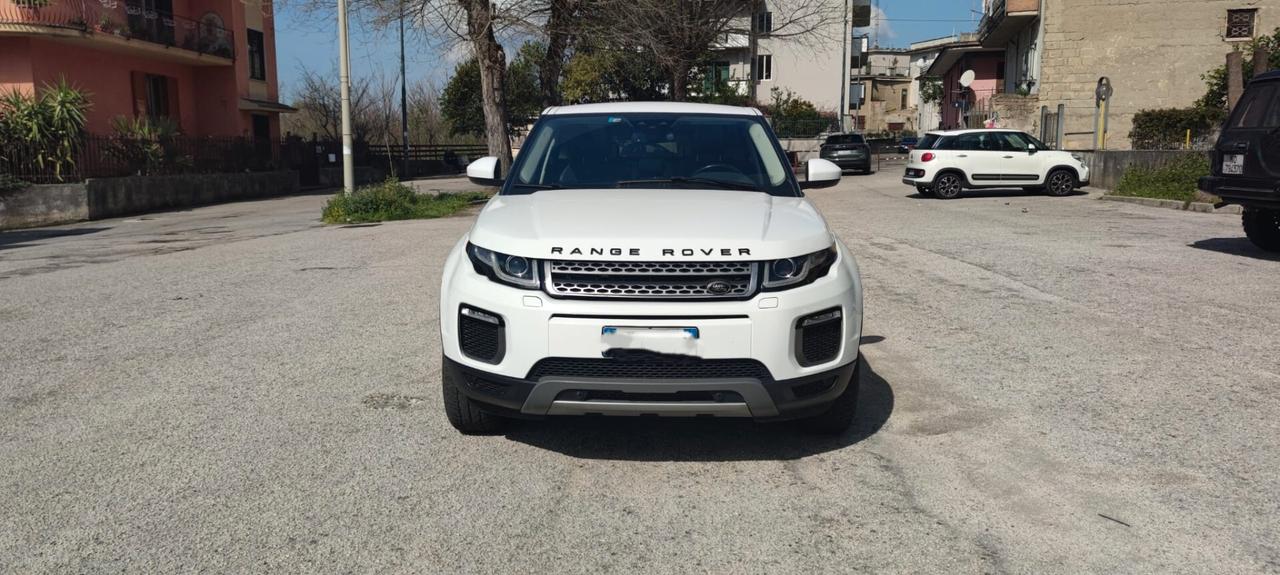 Land Rover Range Evoque 2.0 TD4 150 CV 5p. SE Dynamic TETTO