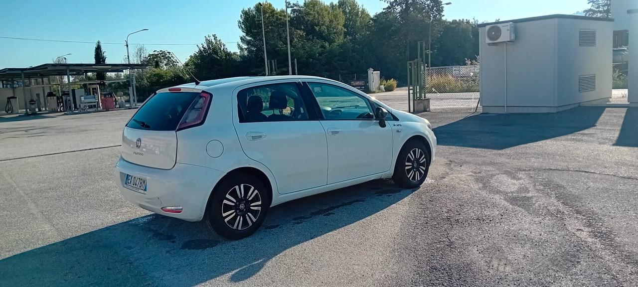 Fiat Punto 1.3 MJT II 75 CV 5 porte Lounge