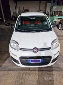 FIAT Panda 3Âª serie - 2019