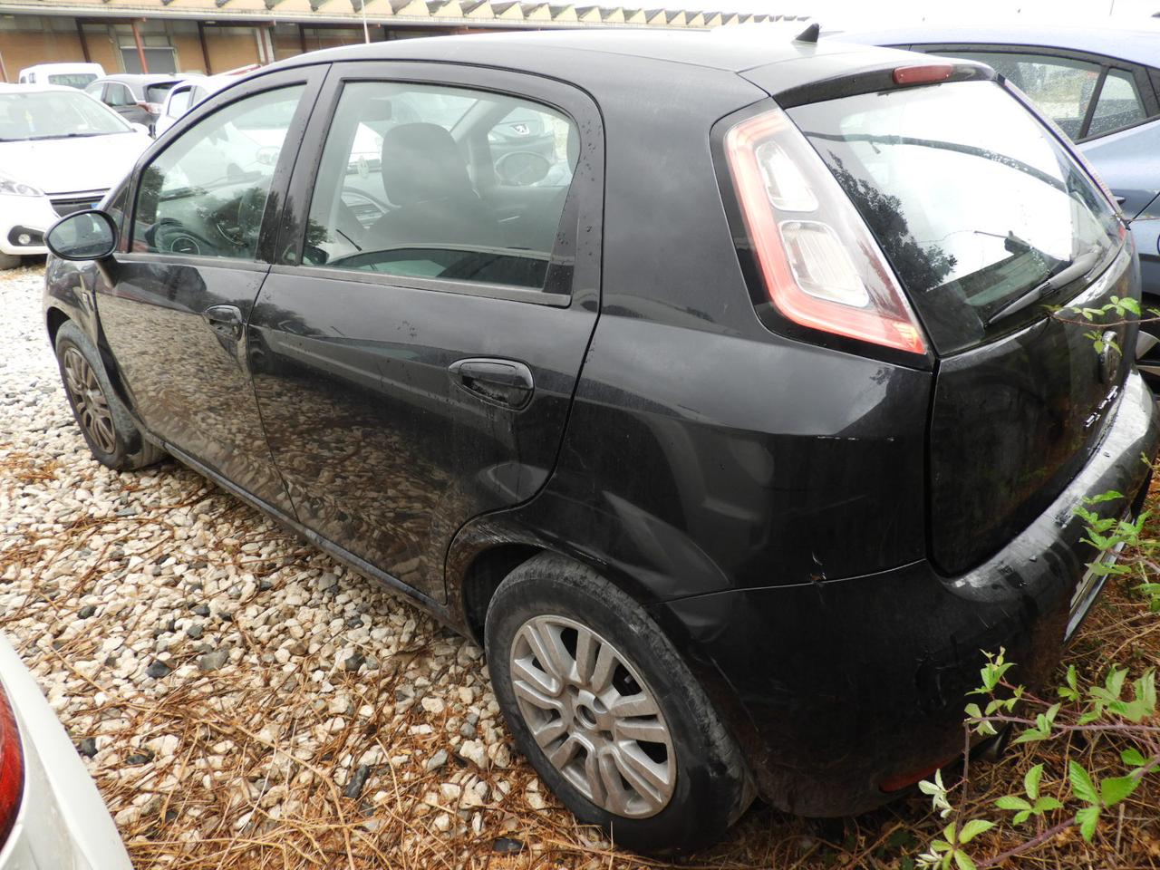 FIAT Punto III 2012 - Punto 5p 1.2 Lounge E6